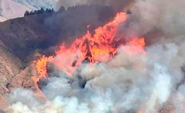 Nuevo incendio forestal en Quilanga consume 40 hectáreas de bosque