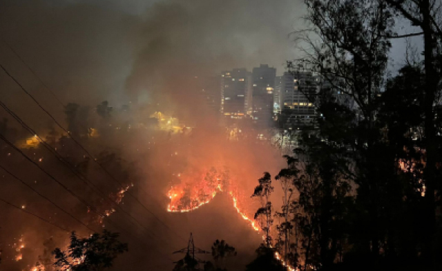 Detenido presunto pirómano que inició incendio en Guápulo