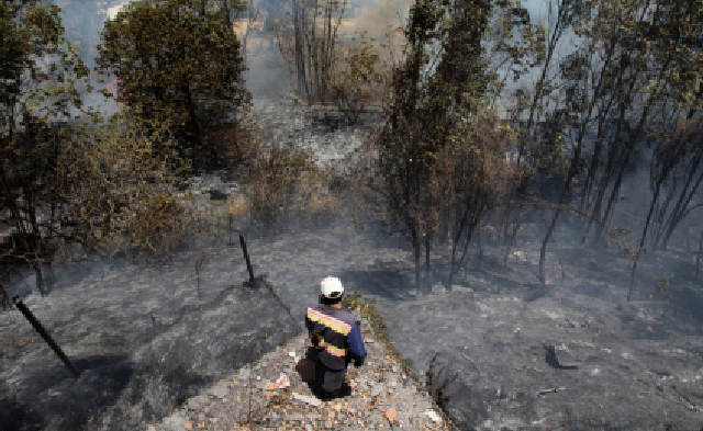 Quito declarado en emergencia por incendios forestales