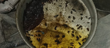 ARCSA emite alerta sanitaria y refuerza control sobre productos en Ecuador