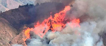 Nuevo incendio forestal en Quilanga consume 40 hectáreas de bosque