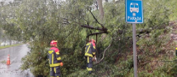 Fuertes lluvias causaron inundaciones y caída de árboles en Quito