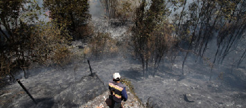 Quito declarado en emergencia por incendios forestales